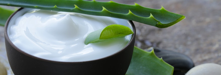 L Aloe Vera