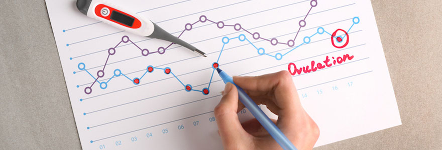 Comment calculer sa date d'ovulation